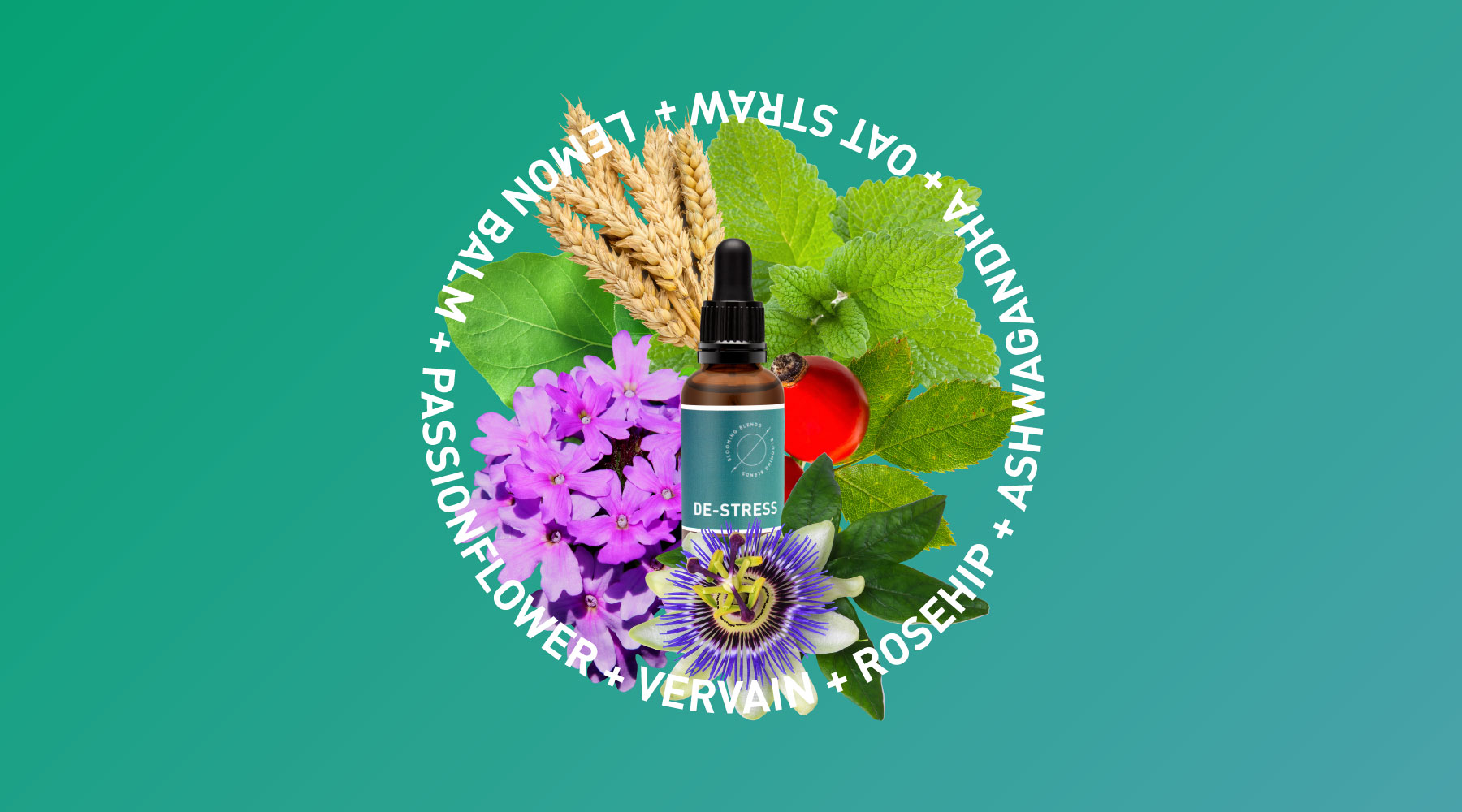 blooming blends, botanical, tinctures, tonics, sensory, mists, design, motion graphics, social marketing