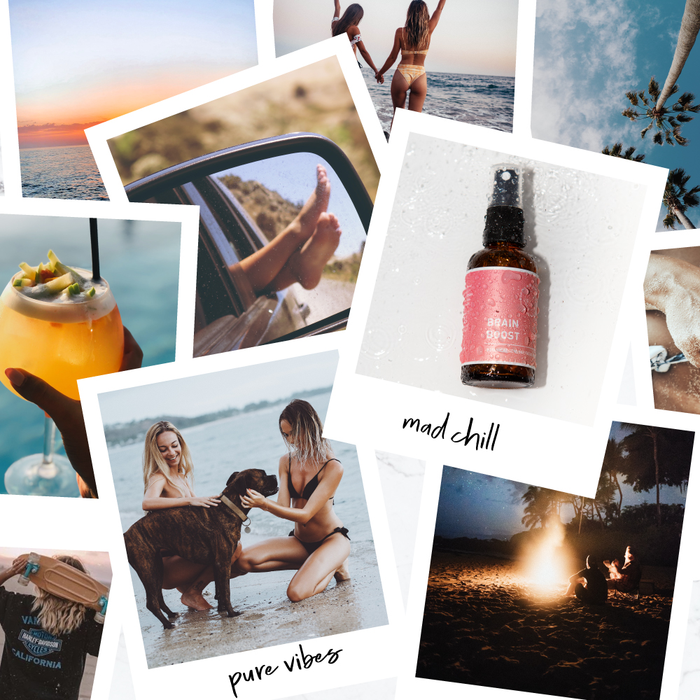 blooming blends, botanical, tinctures, tonics, sensory, mists, design, motion graphics, social marketing